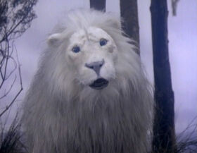 Whitelion