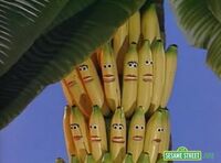 A bunch of bananas from "One Banana"