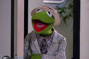 Philip Phil, the identity of an amnesia-stricken Kermit the Frog.