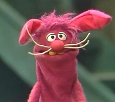 bunny in Episode 3074