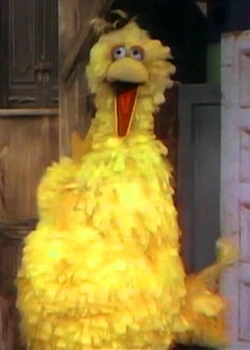 BIgbirdseason2.png