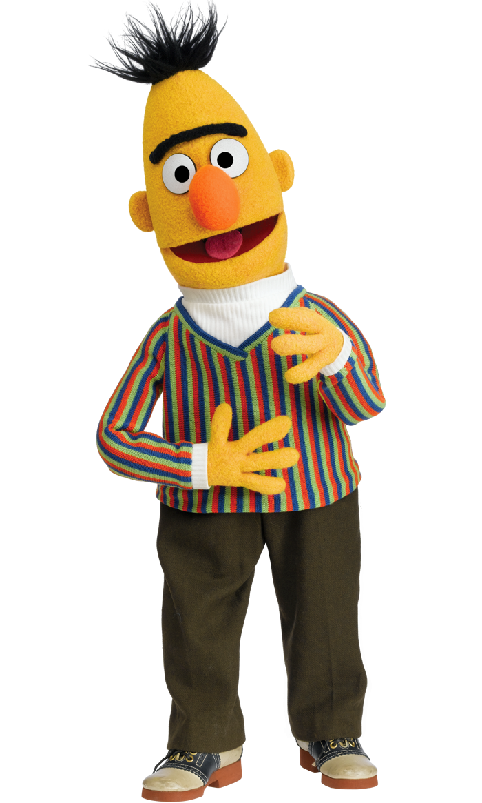 sesame street bert puppet