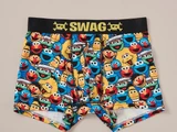 Sesame Street underwear (SWAG)