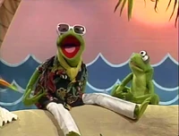 "Caribbean Amphibian"