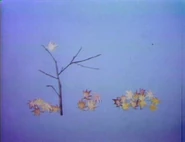 (First: Episode 0794)