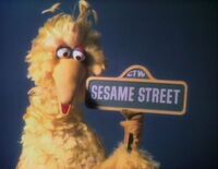 Big Bird Episodes 0734, 0761, 0805, 0977