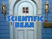 Scientificbear