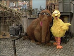 Big Bird and Snuffy Get the Picture