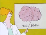 Nancy Einstein: How The Brain Works (First: Episode 2607)