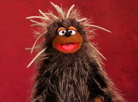 A dark brown porcupine helped Joel McHale demonstrate the word "prickly" in a Word of the Day segment from Season 42 of Sesame Street.