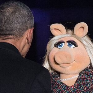 Obama - Piggy