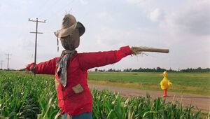 Big Bird scarecrow