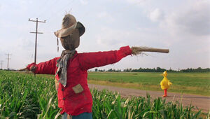 Big Bird scarecrow.jpg