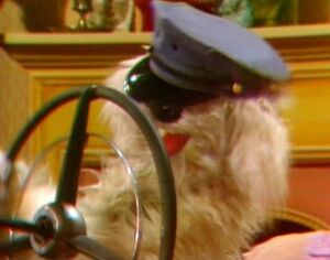 Rufus pretends to be a Greyhound