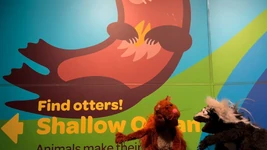 Shedd Aquarium 2023-4.jpg (235 KB)