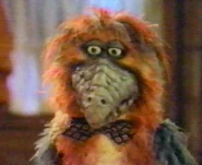 Henripoupon.jpg (87 KB)