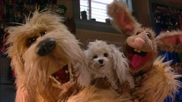 Kermit's Swamp Years (2002)