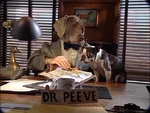 4001m.jpg (85 KB) Wegman: Dr. Peeve - Check-Up