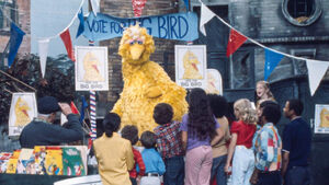 Big Bird for President