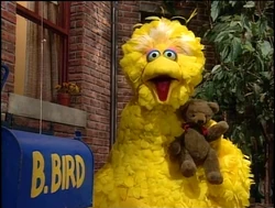 Bigbird-radar-next