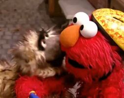 Elmo & CrankySesame Street Episode 4127