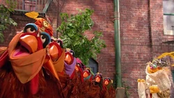"Seven Chickens Dance"