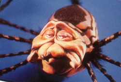 SpiderMother Goose Stories Episode 09: Miss Muffet