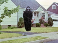 A gorilla (Frank Oz) is shown bouncing on a pogo stick in the suburbs in Time Piece.