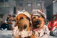 Dog CityFriday, May 5, 1989 on NBCMuppeTelevision: Trailer Parodies Special: Dog City