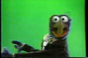 The Great Gonzo (unaired)