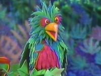 Quetzal the Tropical Bird
