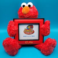 SP picture frame-plush Elmo1