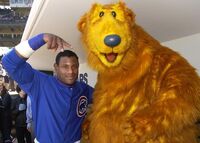 Sammy SosaChicago Cubs Bear Baseball Appearance