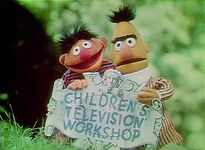 Ernie & Bert Episodes 0949, 0964, 1239