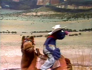 "And now, riding out of the pages of history, Marshal Grover and his wonder horse Fred!"