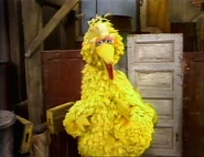 SS-Surprise1.jpg (341 KB)