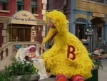 BigBirdNatasha.jpg (42 KB) B: Big Bird and Natasha