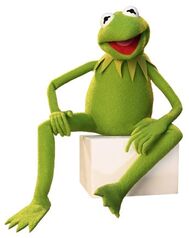 Kermit 6