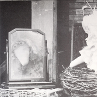 Bbmirrorstill.png (988 KB)