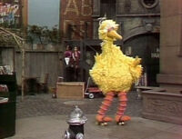 Big Bird on multiple occasions (see Big Bird stunts)