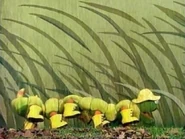 Caterpillar (The Muppet Show)