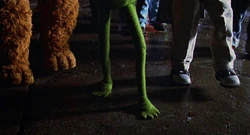 "You Can't Take No for an Answer"