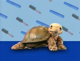 Shelley the Turtle in Elmo's World: Hair and Sesamestreet.org