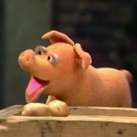 Joey the Pig