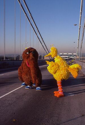 Snuffy marathon