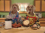 3726.Wegmandogs.popcorn.jpg (157 KB) Wegman: Fay Family Makes Popcorn