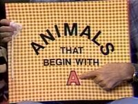 Animals that Begin with A