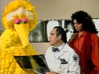 Big Bird Sesame Street Home Video Visits the Hospital
