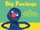 Big Feelings: Learn Healthy Ways to Manage Emotions with Sesame Street