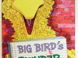 Big Bird's Blunder Book